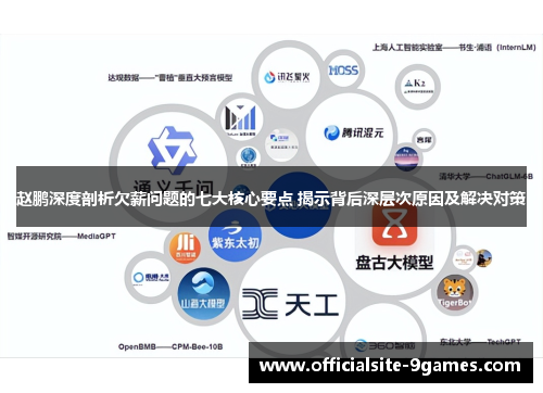 赵鹏深度剖析欠薪问题的七大核心要点 揭示背后深层次原因及解决对策